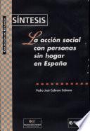 Accin social con personas sin hogar en Espaa (sntesis) , La