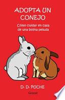 Adopta Un Conejo