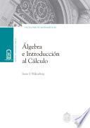 Álgebra e introducción al cálculo