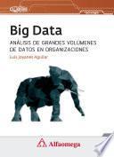Big Data, Análisis de grandes volúmenes de datos en organizaciones