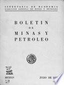 Boletín de minas y petróleo