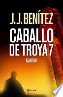Caballo de Troya 7
