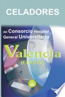 Celadores Del Consorcio Hospital General Universitario de Valencia. Temario Ebook