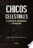 Chicos celestiales
