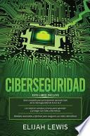 Ciberseguridad