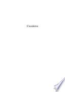 Cocaleros. Violence, drugs and social mobilization in the post-conflict Upper Huallaga Valley, Peru