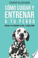 Cómo Cuidar y Entrenar a Tu Perro