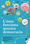 Cómo funciona nuestra democracia