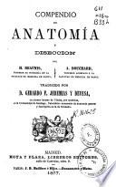 Compendio de anatomía y diseccion