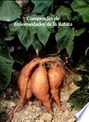 Compendio de enfermedades de la Batata(camote, Boniato)