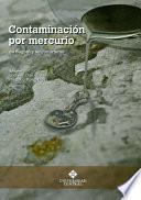 Contaminación por mercurio en Bogotá y su conurbano