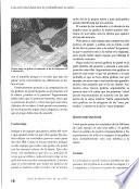 Correo del maestro