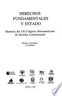 Derechos fundamentales y estado