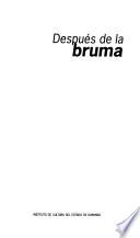 Después de la bruma