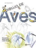 Dibujo de aves