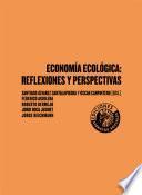 Economía ecológica: reflexiones y perspectivas