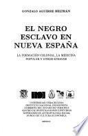 El negro esclavo en Nueva España