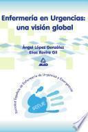 Enfermeria en Urgencias: Una Vision Global. Ebook