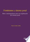 Feminismos y sistema penal