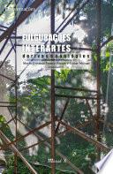Fulgurações Interartes: Derivas e Contágios