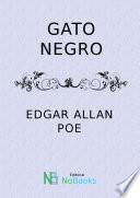 Gato negro
