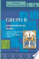Grupo B. Ayuntamiento de Sevilla. Temario Materias Comunes.e-book.