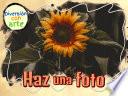 Haz una foto