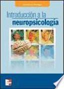 Introducción a la neuropsicología