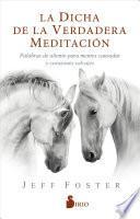 La dicha de la verdadera meditación