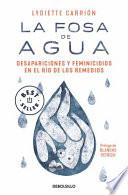 La Fosa de Agua: Desapariciones y Feminicidios en el Río de Los Remedios