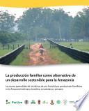 La producción familiar como alternativa de un desarrollo sostenible para la Amazonía : lecciones aprendidas de iniciativas de uso forestal por productores familiares en la Amazonía boliviana, brasilera, ecuatoriana y peruana