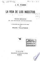 La vida de los insectos