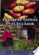 Las Papas Nativas En El Ecuador 