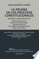 LAS PRUEBAS EN LOS PROCESOS CONSTITUCIONALES