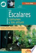 Los escalares comunes y los altum