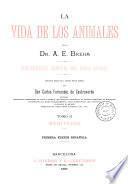 Los mamiferos