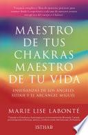 Maestro de tus CHAKRAS, Maestro de tu VIDA