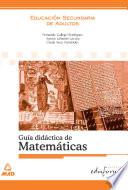 Matematicas. Guia Didactica.ebook