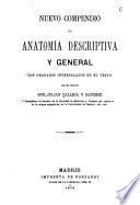 Nuevo compendio de anatomía descriptiva y general
