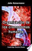 Organización de los cromosomas humanos