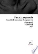 Pensar la experiencia
