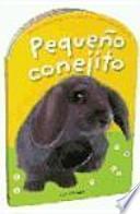 Pequeño conejito