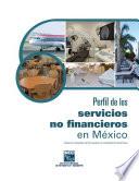 Perfil de los servicios no financieros en México. Sistema integrado de Encuestas en Unidades Económicas