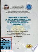 Programa De Maestria De Educacion E Investigacion En Agricultura Tropical Sostenible 