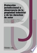 Protección jurisdiccional y observancia de la propiedad industrial y de los derechos de autor