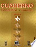 Puebla Puebla. Cuaderno estadístico municipal 2001