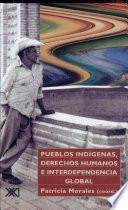 Pueblos indígenas, derechos humanos e interdependencia global