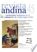 Revista andina
