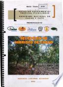 Seleccion De Hibridos De Cacao