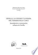 Sevilla, la ciudad y la riada del Tamarguillo (1961)